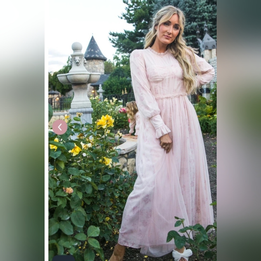 Ivy City Co Last Songbird Dress NWT Size L | Pink Floral Long Sleeve Maxi Cottag